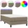 vidaXL Boxspringbett 100 x 200 cm Taupe