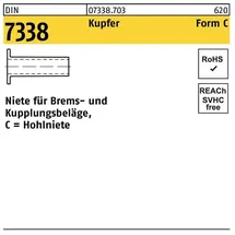 F. REYHER Nchfg. GmbH & Co. KG Niete DIN 7338 Form C C 6 x 20 100 Stück