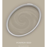 A.S. Création - Wandfarbe Taupe "Pumpkin Seed" 2,5L