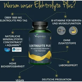 Vegavero Elektrolyte Plus Kapseln 120 St.