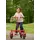Winther VIKING CHALLENGE Step Roller Rot