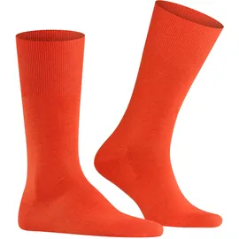 Falke Airport ziegel 39-40