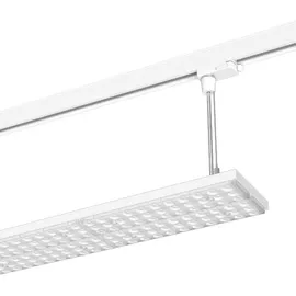 LTS Licht & Leuchten LTS Licht&amp;Leuchten LED-Stromschienenleuchte LUZ-P22 106 #666629