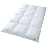 franknatur - Daunendecke 90% Daune Winter Steppbett Bettdecke 135x200 Franzi-1