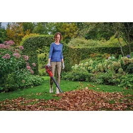 Einhell GE-ULB 18 Li E-Kit inkl. 1 x 2,0 Ah + Ladegerät