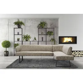 exxpo - sofa fashion Eckbank EXXPO - SOFA FASHION "Americano", braun (cappuccino), B:249cm H:83cm T:157cm, Sitzbänke, Eckbank, mit Keder und Metallfüßen, Bezug in verschiedenen Qualitäten, Topseller