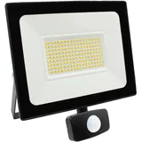 Megatron Ispot XL LED Außenstrahler MT68033
