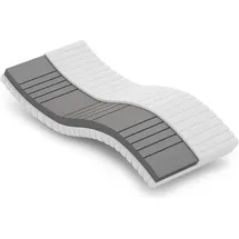 Betten-ABC OrthoMatra KSP-500 XXL 80 x 200 cm H4
