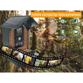 Berger & Schröter Futterhaus ES50BS 150 ml Vogel Grün, Grau mit Bewegungsmelder, Kamera, Speicherkarten-Slot, Solarpanel 1 St. ES50BS