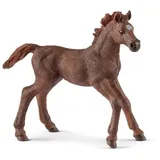Schleich Horse Club Englisch Vollblut Fohlen 13857