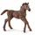 Schleich Horse Club Englisch Vollblut Fohlen 13857