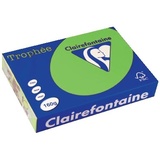 Clairefontaine Trophée A4 160 g/m2 250 Blatt maigrün