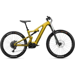 Flyer Uproc6 6.50 Gold Modell Aktion