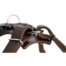 Hunter Geschirr Aalborg