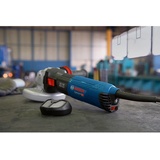 Bosch GWS 17-150 S Professional