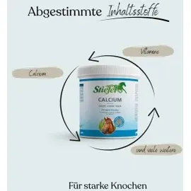 Stiefel Calcium-Plus 1 kg
