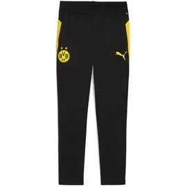 Puma Puma, BVB Training Pants w/ pockets XL