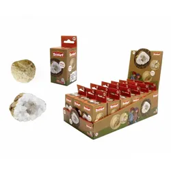 Scout Geoden (2St)