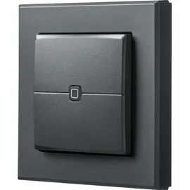 eQ-3 Homematic IP Wired Smart Home Wandtaster 2-fach, anthrazit