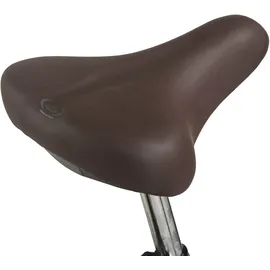Hollandia Royal Dutch 28 Zoll RH 49 cm Damen schwarz