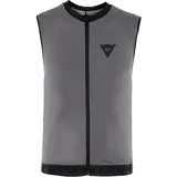 dainese snow Dainese Scarabeo Flexagon Waistcoat 2 silver filigree/stellar (50L) JS