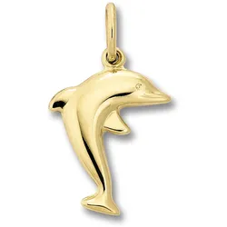 Kette mit Anhänger ONE ELEMENT "Delfin Anhänger aus 333 Gelbgold", gold, Halsketten, Damen, Gelbgold 333, Damen Schmuckset - Set mit verstellbarer Halskette