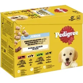 PEDIGREE Junior Nassfutter 12 x 100 g