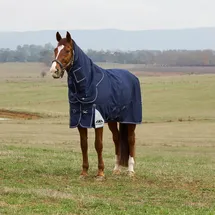 Weatherbeeta Comfitec Ultra Turnout Detach-A-Neck 220G, 140
