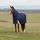 Weatherbeeta Comfitec Ultra Turnout Detach-A-Neck 220G, 140
