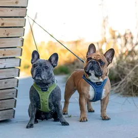 DOG Copenhagen Comfort Walk Go Hundegeschirr Rot M