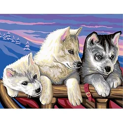 Malen nach Zahlen mit Acrylfarben "Huskies", 38 x 29 cm