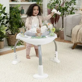 Ingenuity Ingenuity, Spring & Sprout, First Forest,