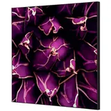 Showdown Displays Showdown Wanddekoration Set 40x40cm Kaktus vi