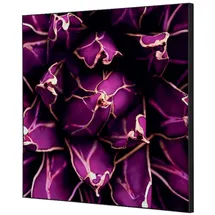 Showdown Displays Showdown Wanddekoration Set 40x40cm Kaktus vi