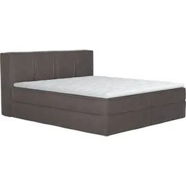 LeGer Home by Lena Gercke Boxspringbett "Addyson", silber, B:190cm L:230cm, 100% Polyester, LEGER HOME BY LENA GERCKE, Komplettbetten, Boxspringbett, Boxspringbett inkl. Topper, 2 Matratzen