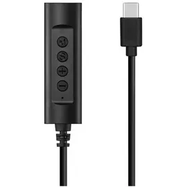 Sandberg USB-C Controller schwarz