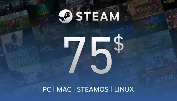 Steam Gift Card 75$