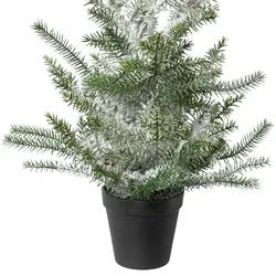 CREATIV green künstliche Pflanze Zimmertanne im Topf, beschneit, 50 cm, schnee