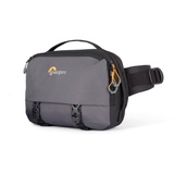 Lowepro LP37468-PWW camera case