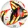 derbystar Fußball Deutschland v26 Gr. 5 in Geschenkbox inkl. Ballpumpe Micro