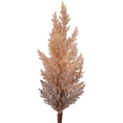 Kunstblume PAMPASGRAS braun - braun