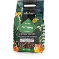 LECHUZA CACTUSPON