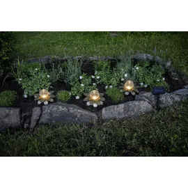 Star Trading LED Solardekoblume Lilly, 3er Pack - Gold,