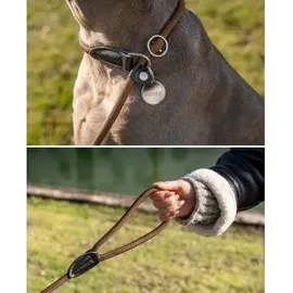 LIONTO Retrieverleine, für Hunde, Robust, Wetterfest, 170 cm, Braun