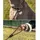 LIONTO Retrieverleine, für Hunde, Robust, Wetterfest, 170 cm, Braun