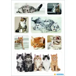 HERMA Aufkleber Katzen