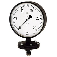 Riegler 102584-PL 1901 Plattenfedermano, Robust., G 1/2 radial unten,