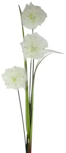 Dandelion x3 100cm creme