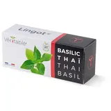 Véritable Lingot Thai-Basilikum