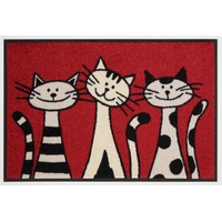 Wash+Dry Fußmatte »Three Cats«, rechteckig, Schmutzfangmatte, Motiv Katzen, rutschhemmend, waschbar,